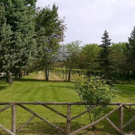 Villa Marila Relax Con Piscina In Campagna Pietramelara